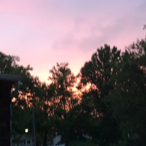 Meet your Posher, Madeline